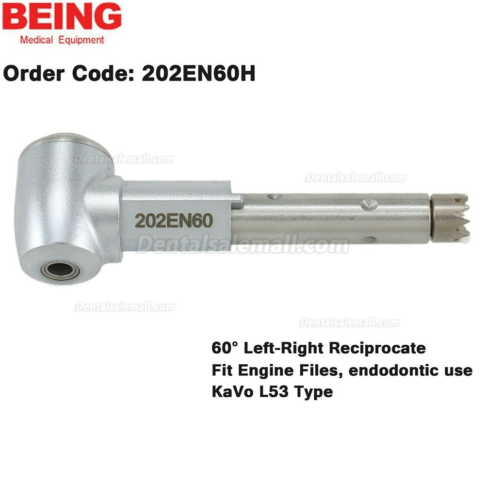 BEING Dental Contra Angle Head For Prophy Endodontic Handpiece Fit KaVo L67 L80 L31