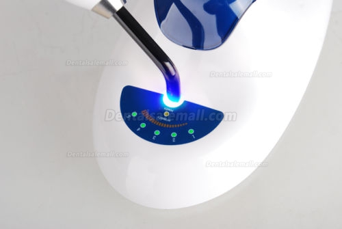 Denjoy DY400-4 Wireless Dental LED Curing Light Orthodontics 5W