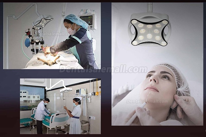Micare JD1700L Mobile Stand LED Minor Dental Surgical Lamp Shadowless Light Operation Examination Lamp