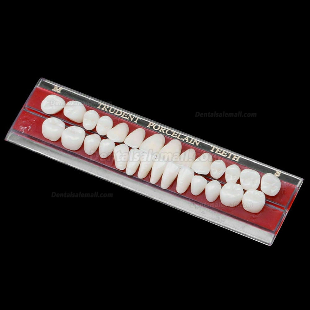 5 Set Alloy Pin Dental Materials Porcelain Teeth Tooth Shade Guide Dentures 24 #