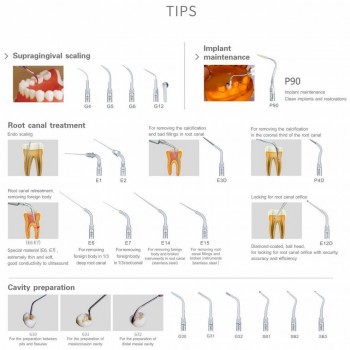 Woodpecker® UDS-P Dental LED Ultrasonic Scaler