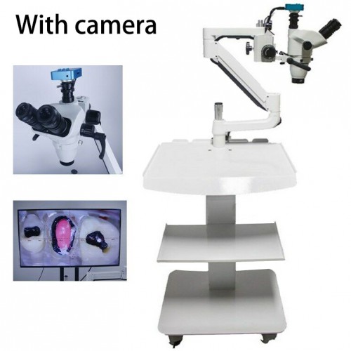 5W Trolley Type Dental Endo Therapy Operating Microscope Loups with Camera