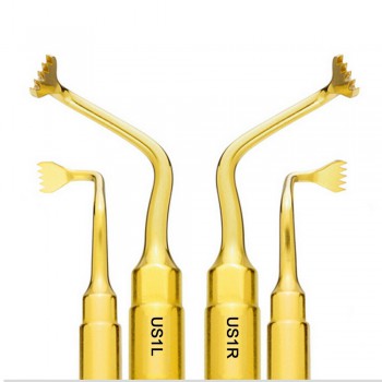 Woodpecker US1L US1R Ultrasurgery Bone Surgery Tip F/ Mectron PiezoSurgery Woodp...