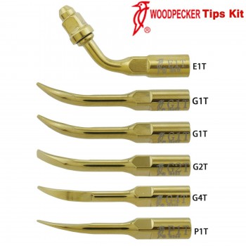 Woodpecker DTE Dental Ultrasonic Scaler Tip Kit Endo Periodontics G1T G2T G4T P1...