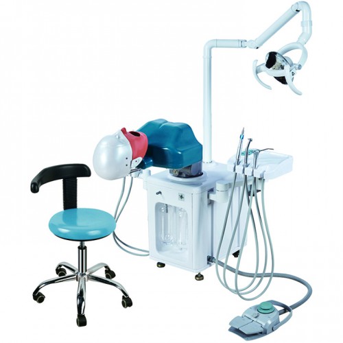 Jingle JG-A2 Dental Simulator Manikins Phantom Head Simulation Unit Typodont Compatible with Nissin Kilgore/Frasaco