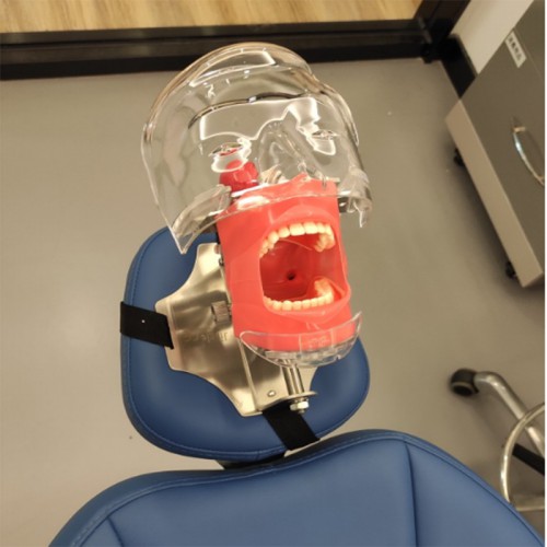 Dental Manual Manikin Simulator Phantom Head Model for Dental Chair Headrest Compatible with Nissin Kilgore