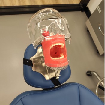 Dental Manual Manikin Simulator Phantom Head Model for Dental Chair Headrest Com...