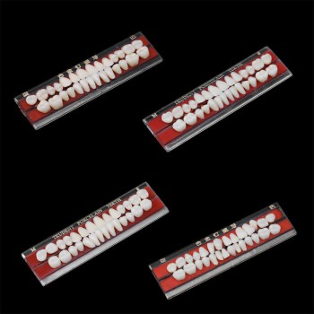 5 Set Alloy Pin Dental Materials Porcelain Teeth Tooth Shade Guide Dentures 24 #