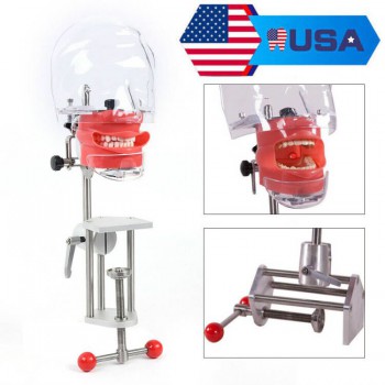 US STOCK!Bench Mount Dental Simulator Manikin Phantom Head Typodont Compatible Nissin Kilgores