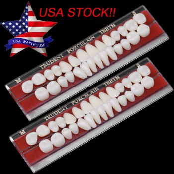 US Stock! 2Pcs Dental Porcelain Denture Material Alloy-Pin Teeth Colors Shade Gu...