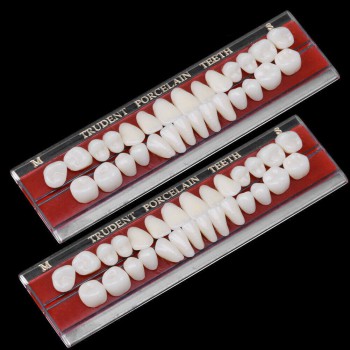 2Pcs Dental Porcelain Denture Material Alloy-Pin Teeth Colors Shade Guide 24#