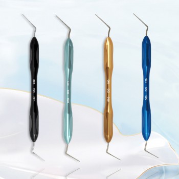 Dental Endodontic Endo Buchanan Hand Plugger Tip NITI Fill Obturation Kit 4 Sizes