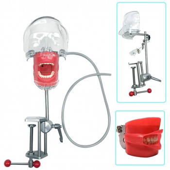 Bench Mount Dental Simulator Manikin Phantom Head Typodont Compatible Nissin Kilgores