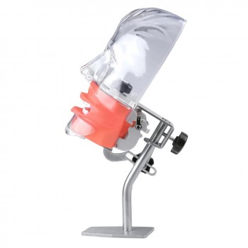 Dental Phantom Head Manikin Model with 28Pcs/32Pcs Teeth Typodont and FE Articulator Fit Nissin Kilgore