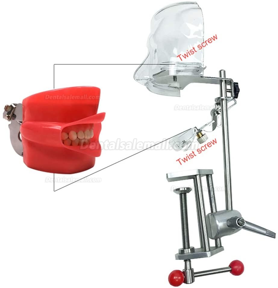 US STOCK!Bench Mount Dental Simulator Manikin Phantom Head Typodont Compatible Nissin Kilgores