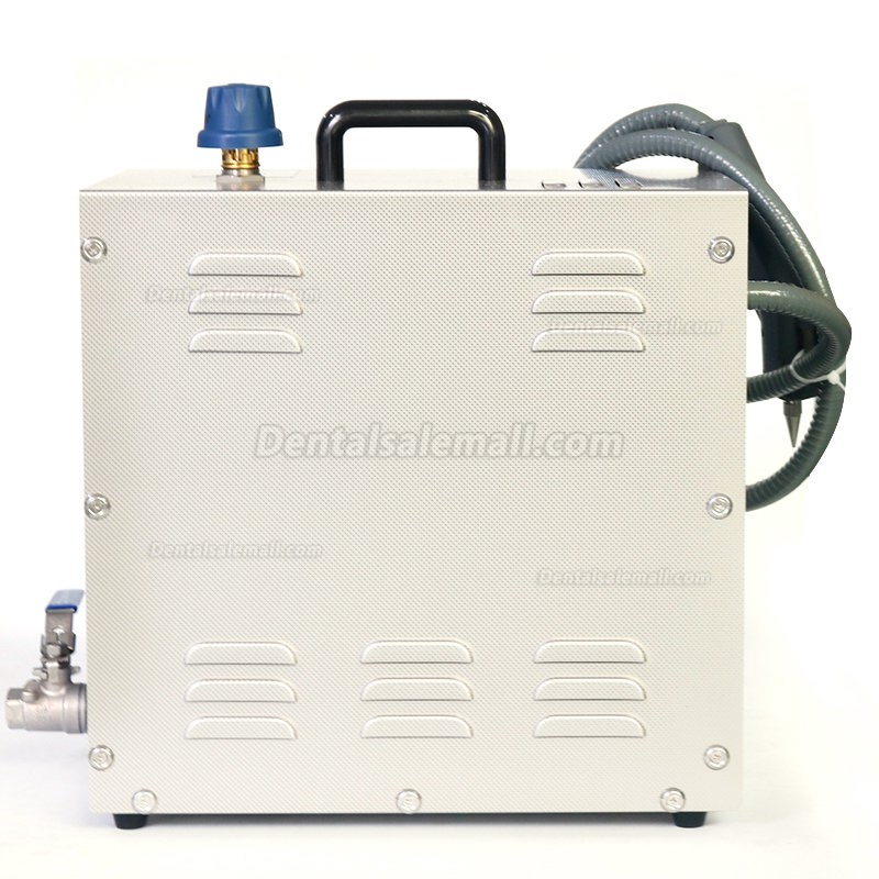 DS300-4B 1400W Dental Lab Steam Cleaner Machine High Temperature and Pressure