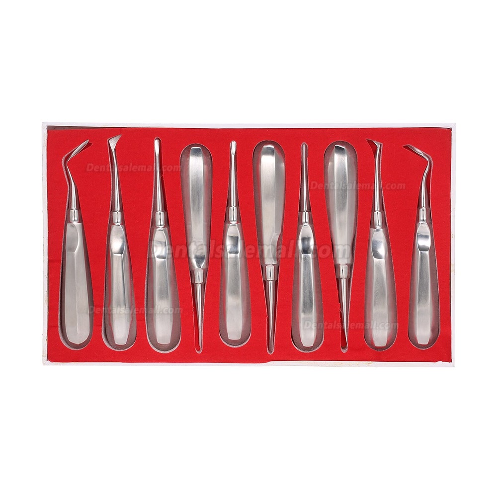 10Pcs Dental Root Elevator Orthodontic Instruments Tooth Loosening Root Extraction Kit