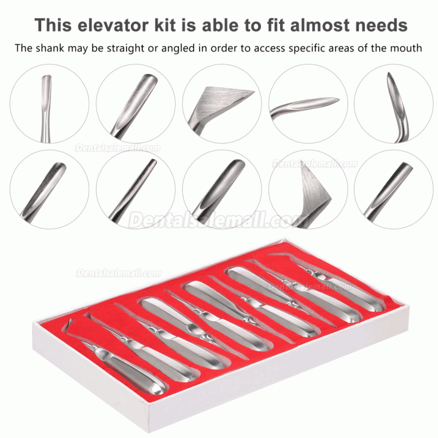 10Pcs Dental Root Elevator Orthodontic Instruments Tooth Loosening Root Extraction Kit