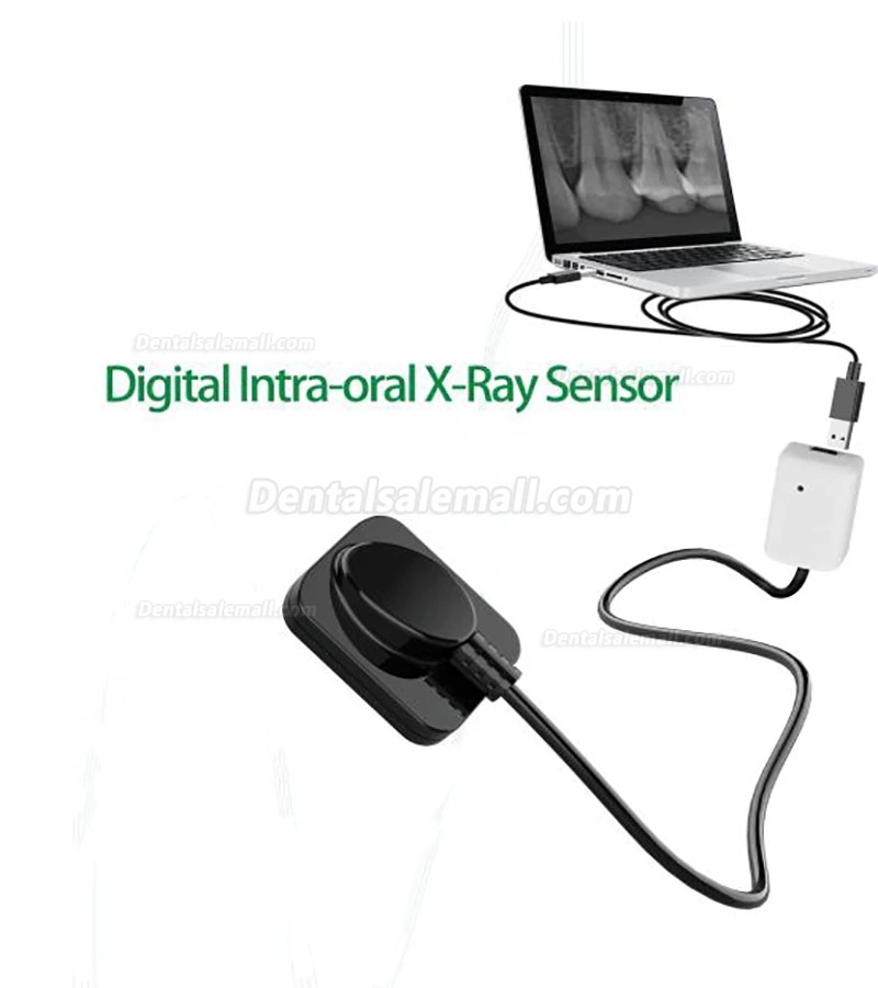 Dental Digital Image RVG X-Ray Sensor Dental Intraoral Imaging System 