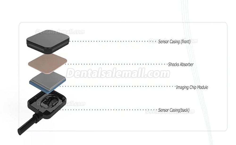 Dental Digital Image RVG X-Ray Sensor Dental Intraoral Imaging System 