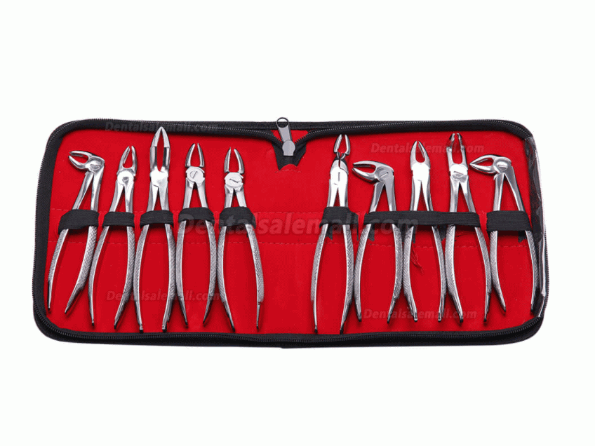 10pcs/set Tooth Extracting Forceps Dental Pliers for Dentist with Tool kit Dental Surgical Extraction Instrument Adults