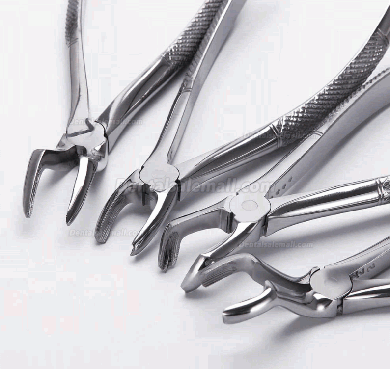 10pcs/set Tooth Extracting Forceps Dental Pliers for Dentist with Tool kit Dental Surgical Extraction Instrument Adults