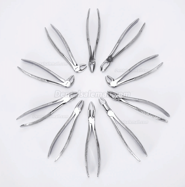 10pcs/set Tooth Extracting Forceps Dental Pliers for Dentist with Tool kit Dental Surgical Extraction Instrument Adults