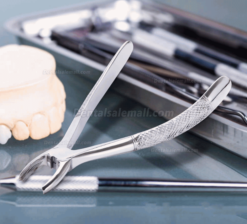 10pcs/set Tooth Extracting Forceps Dental Pliers for Dentist with Tool kit Dental Surgical Extraction Instrument Adults