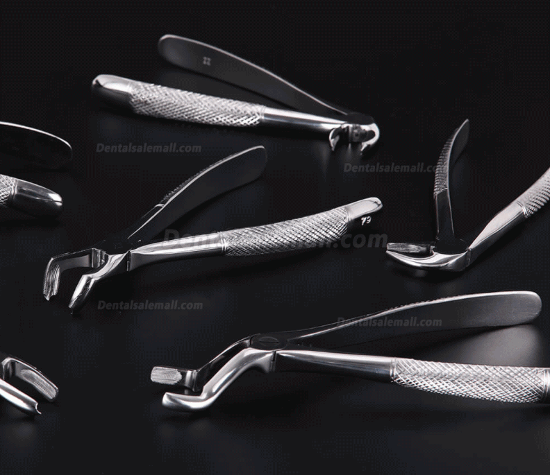10pcs/set Tooth Extracting Forceps Dental Pliers for Dentist with Tool kit Dental Surgical Extraction Instrument Adults