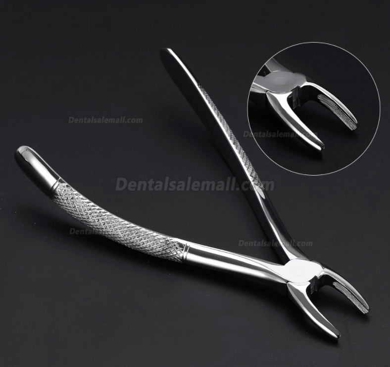 10pcs/set Tooth Extracting Forceps Dental Pliers for Dentist with Tool kit Dental Surgical Extraction Instrument Adults