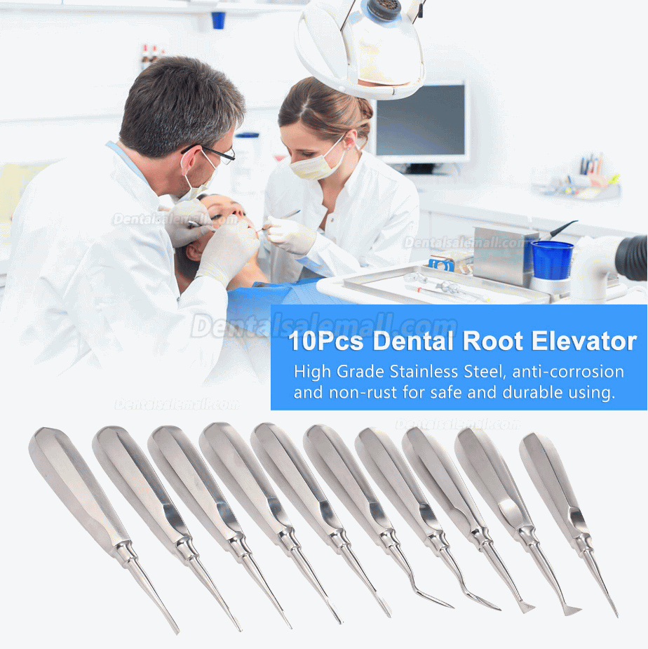 10Pcs Dental Root Elevator Orthodontic Instruments Tooth Loosening Root Extraction Kit