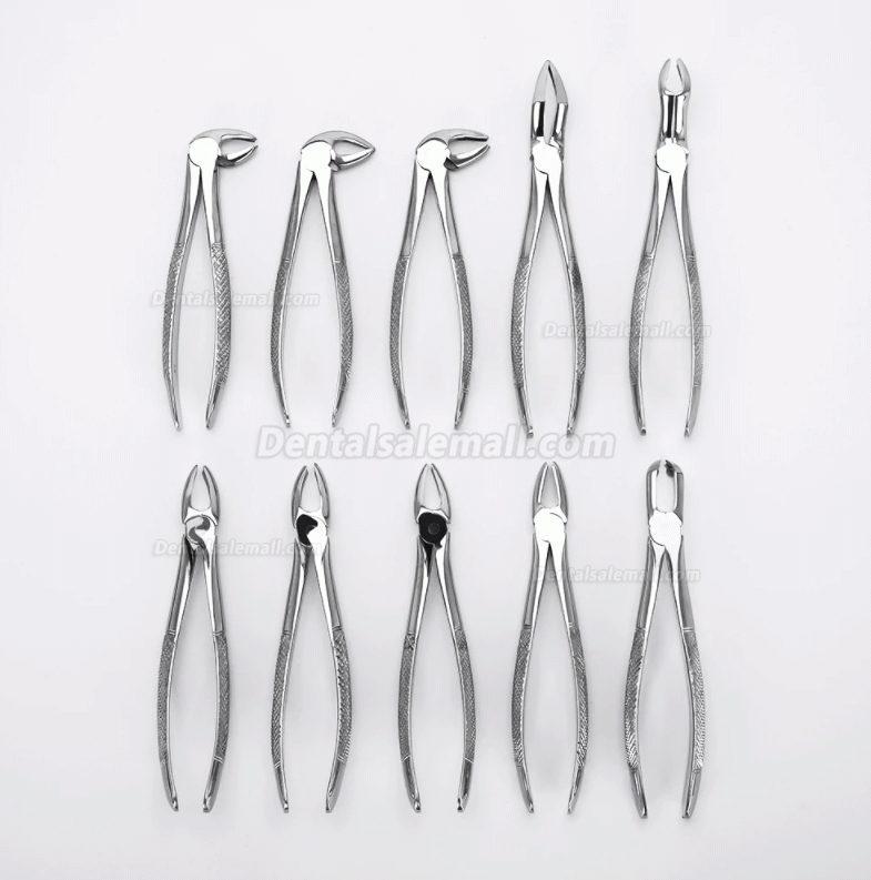 10pcs/set Tooth Extracting Forceps Dental Pliers for Dentist with Tool kit Dental Surgical Extraction Instrument Adults