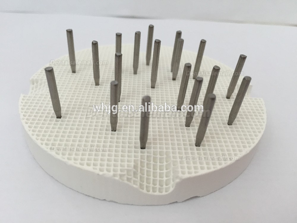 10Pcs Dental Lab Firing Tray Dental Porcelain Honeycomb Roast Tray