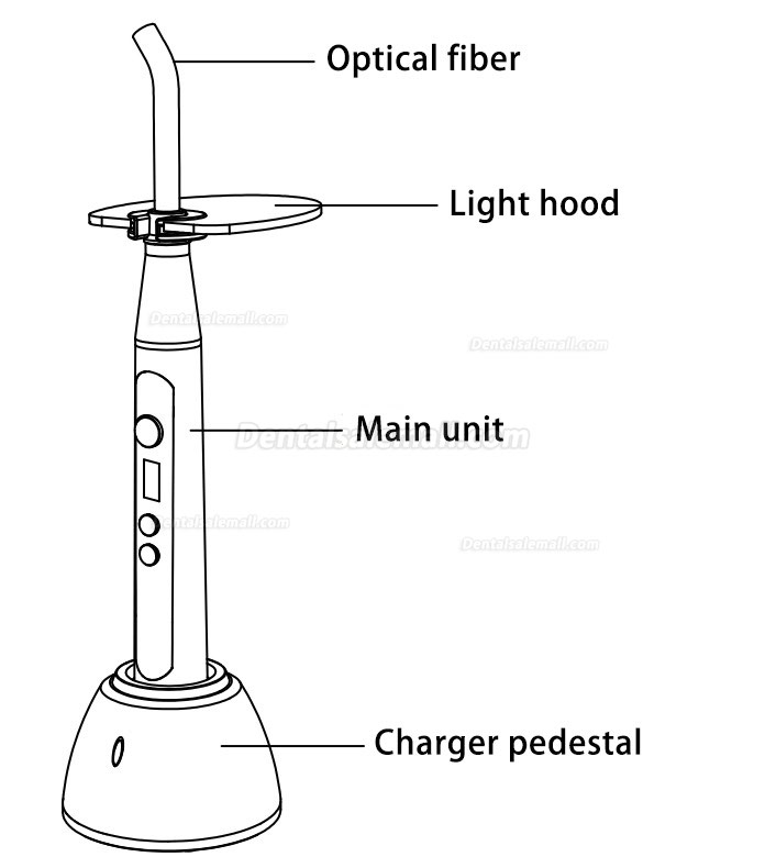 RebormEndo RLED 6 Led Curing Light for Porcelain Laminate Veneer Orthodontics