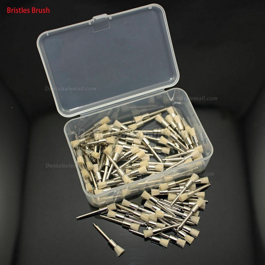 1000Pcs Dental Nylon/Rubber/Bristles Polishing Brush Polisher Prophy Cup Prophylaxis