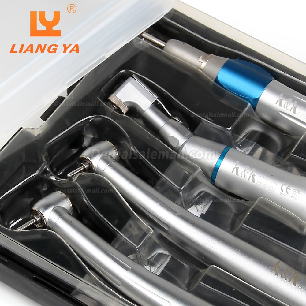 LY-L201 Dental low & high speed handpiece kit