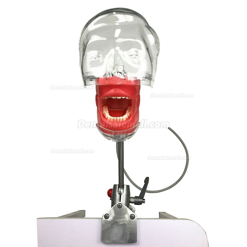 Dental Manual Manikin Simulator Phantom Head Model for Dentist Training Practice Compatible with Nissin Kilgore