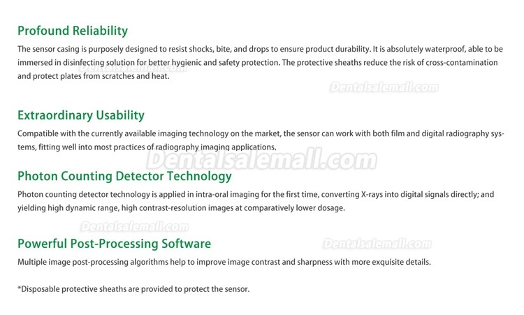 Dental Digital Image RVG X-Ray Sensor Dental Intraoral Imaging System 