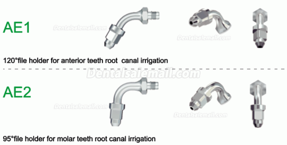 10Pcs Refine Dental Scaler Tips A1 A2 AE1 AE2 for Amdent LM Ultrasonic Scaler Handpiece