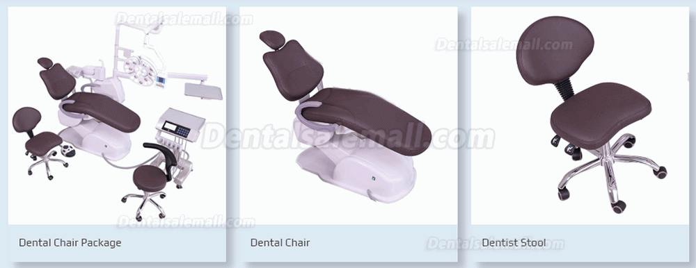 DSM-A3000 Luxury Implant Dental Chair Unit Integrated Dentist Treatment Unit