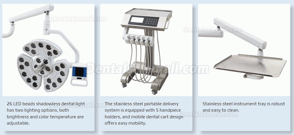 DSM-A3000 Luxury Implant Dental Chair Unit Integrated Dentist Treatment Unit