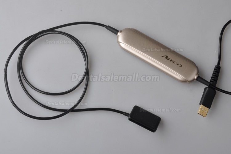High Resolution Digital USB Type Dental X Ray Sensor Rvg High Resolution Digital USB Type Dental X Ray Sensor Rvg