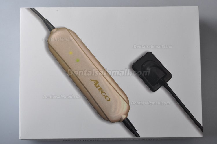 High Resolution Digital USB Type Dental X Ray Sensor Rvg