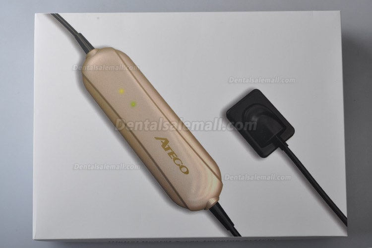 High Resolution Digital USB Type Dental X Ray Sensor Rvg High Resolution Digital USB Type Dental X Ray Sensor Rvg