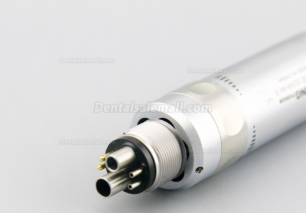 BEING Rose 202AM M4-B Dental Fiber Optic Air Motor 6 Hole for Low Speed Handpiece Inner Water E-Type