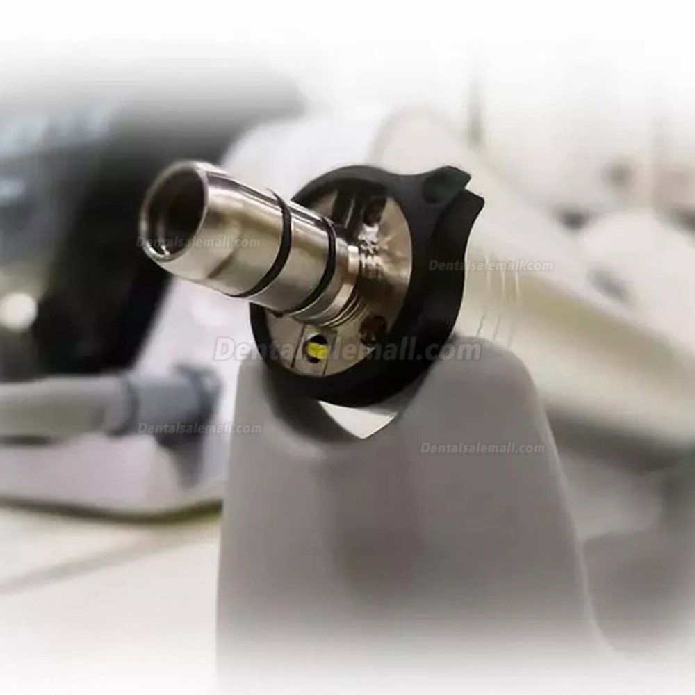 Yudendent COXO Dental Implant System C-Sailor Pro Surgical Brushless Motor LED Fiber Optic Handpiece