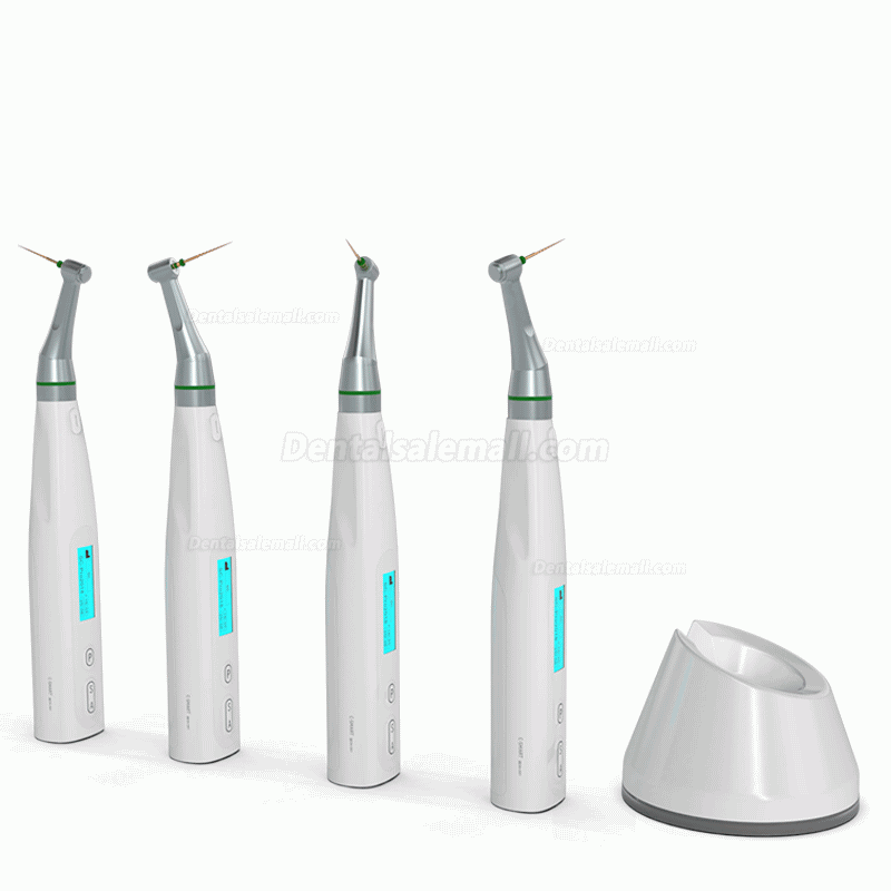 COXO C-smart Mini AP Dental Endo Motor Endodontic Motor with Apex Locator 2 in 1