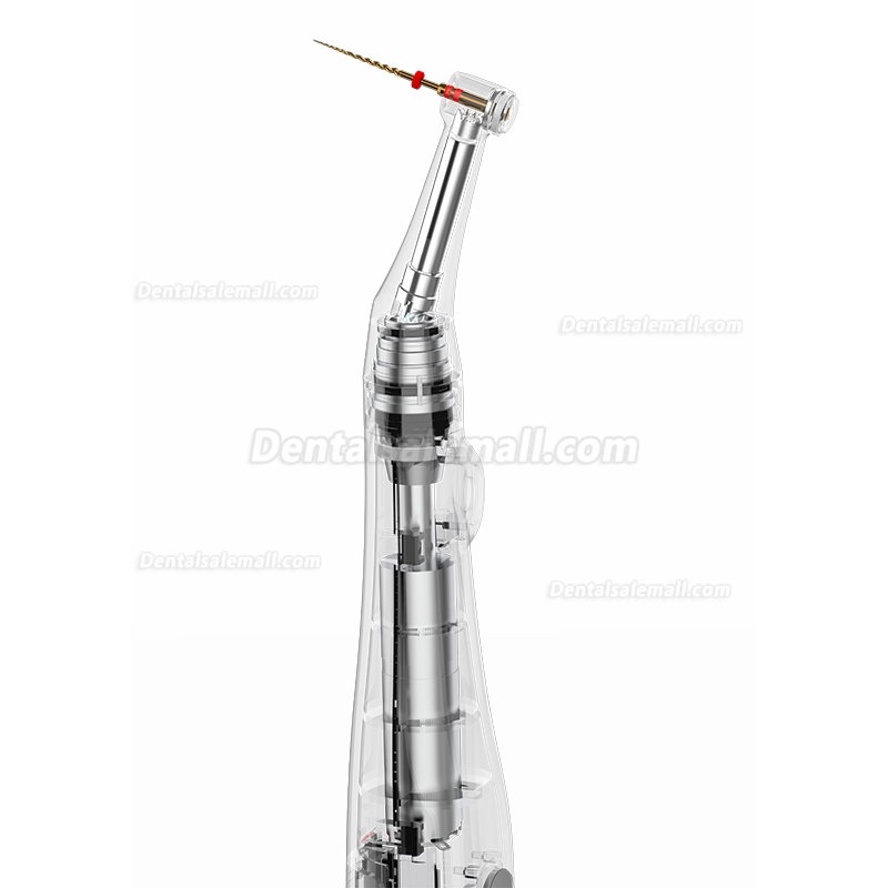 YUSENDENT COXO C-Smart-Mini Wireless Endodontic Endo motor Contra-angle 1:1 Push Button