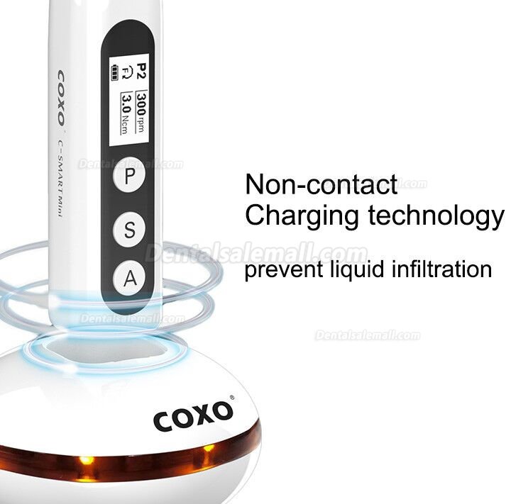 YUSENDENT COXO C-Smart-Mini Wireless Endodontic Endo motor Contra-angle 1:1 Push Button