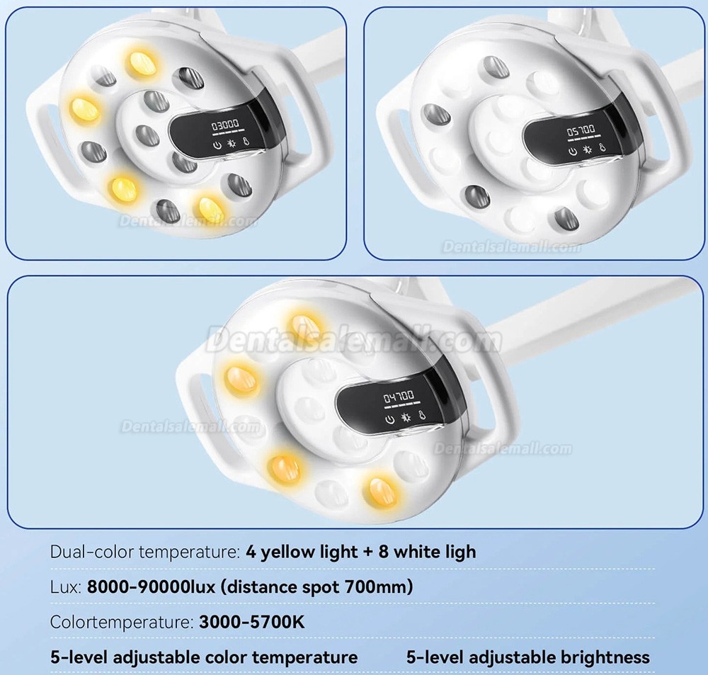 Bonin T12C Dental Chair Light 12 LED Oral Lamp for Dental Chair Bonin T12C Dental Chair Light 12 LED Oral Lamp for Dental Chair